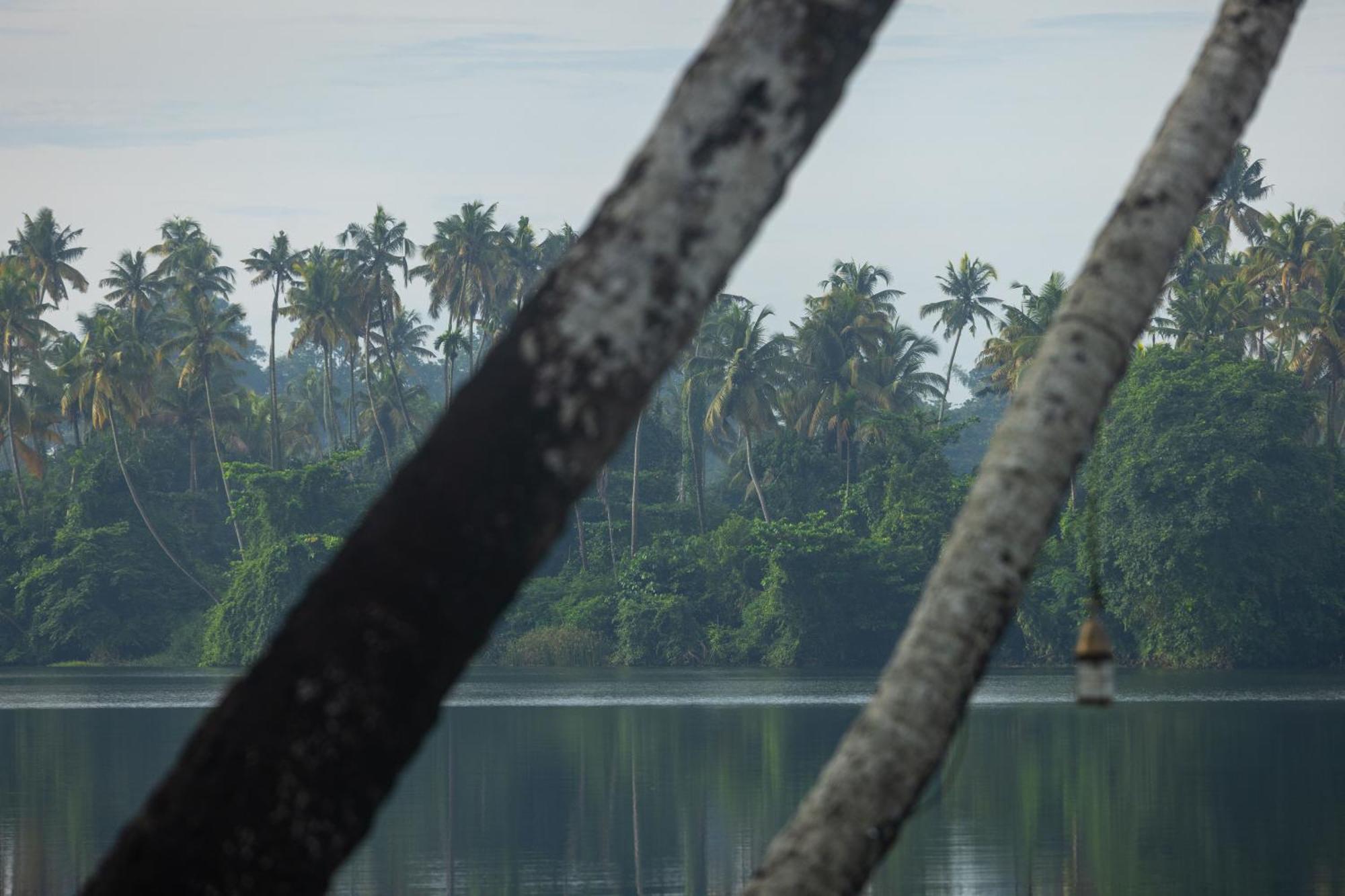 Cranganor History Café&Riverside Château North Paravur Extérieur photo