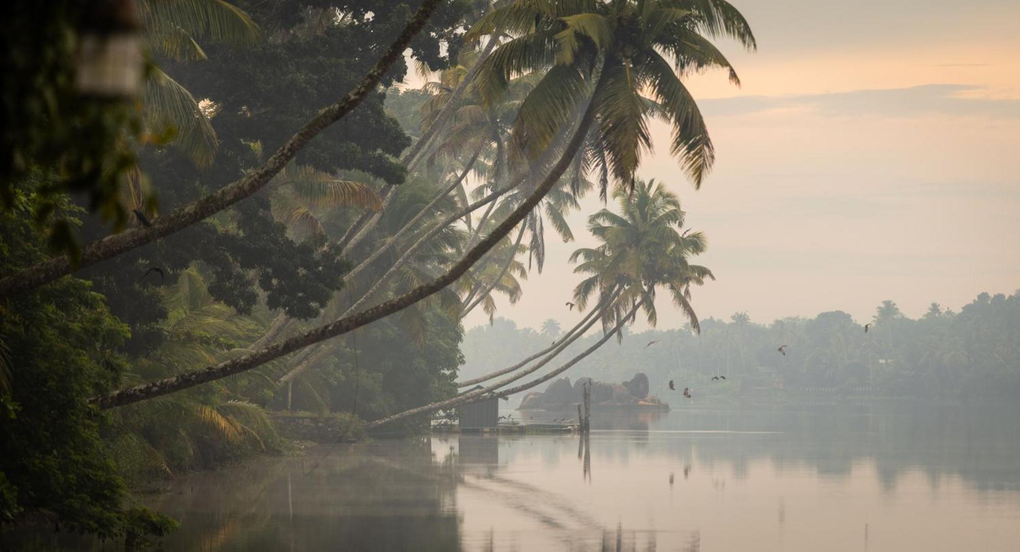 Cranganor History Café&Riverside Château North Paravur Extérieur photo